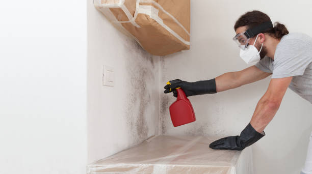 Professional Attic Mold Remediation technician working in Upton, KY