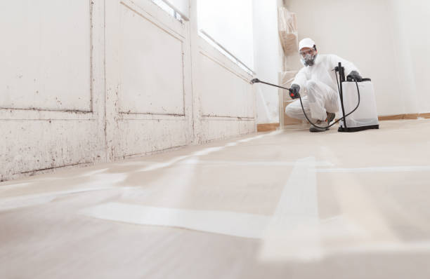 24/7 Emergency Attic Mold Remediation experts in Upton, KY